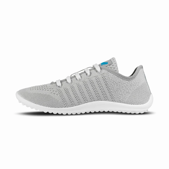 leguano_go_grey_05.jpg