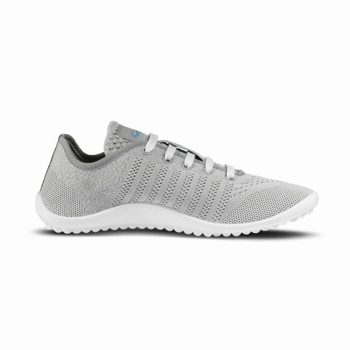 leguano_go_grey_06.jpg
