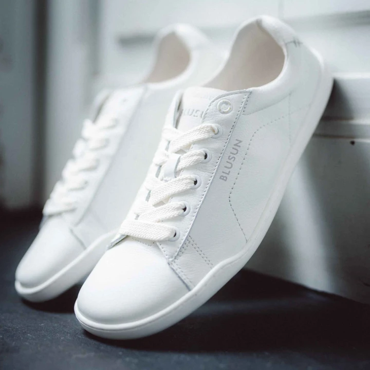 Blusun-BLSN-100-white