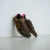 blsn200w-leopard-print-barfusssche-blusun.webp
